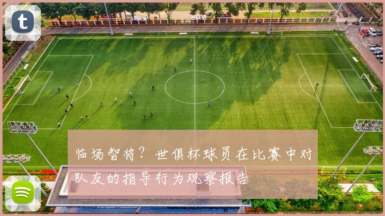 临场智将？世俱杯球员在比赛中对队友的指导行为观察报告