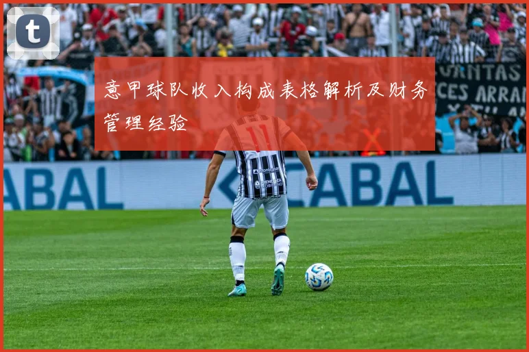 意甲球队收入构成表格解析及财务管理经验