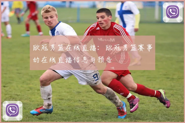 欧冠男篮在线直播：欧冠男篮赛事的在线直播信息与预告