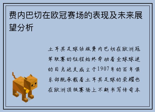 费内巴切在欧冠赛场的表现及未来展望分析
